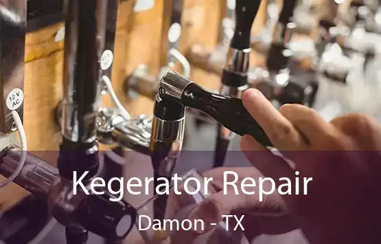  Kegerator Repair Damon - TX