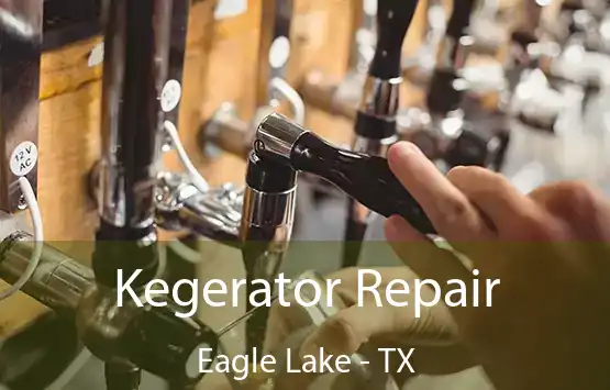  Kegerator Repair Eagle Lake - TX