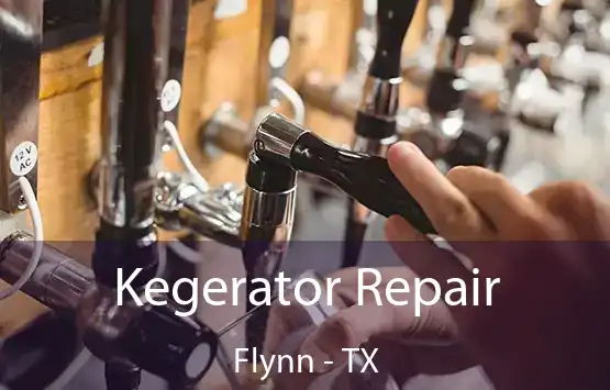  Kegerator Repair Flynn - TX
