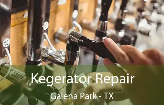  Kegerator Repair Galena Park - TX