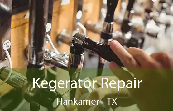  Kegerator Repair Hankamer - TX