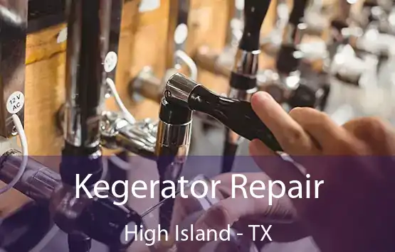  Kegerator Repair High Island - TX