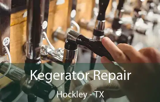  Kegerator Repair Hockley - TX
