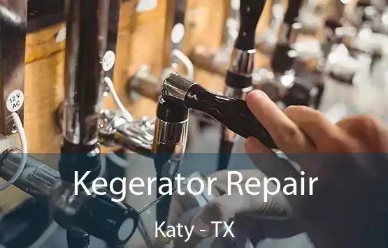  Kegerator Repair Katy - TX