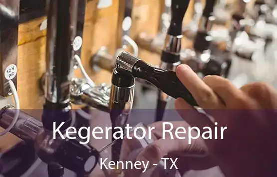  Kegerator Repair Kenney - TX