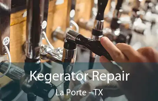  Kegerator Repair La Porte - TX
