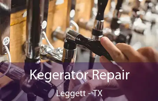  Kegerator Repair Leggett - TX