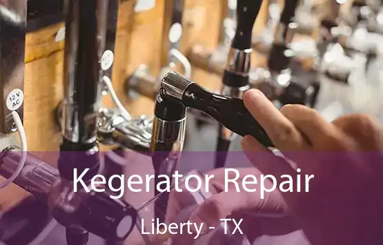  Kegerator Repair Liberty - TX