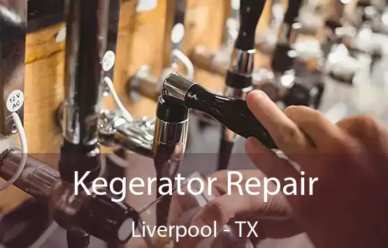  Kegerator Repair Liverpool - TX