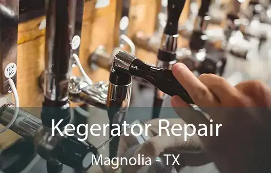  Kegerator Repair Magnolia - TX