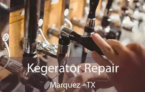  Kegerator Repair Marquez - TX