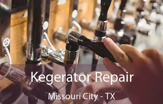  Kegerator Repair Missouri City - TX