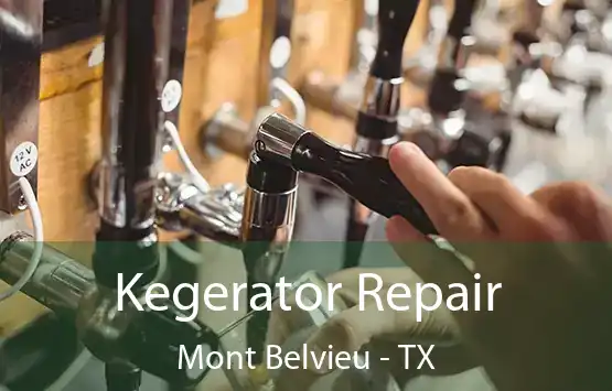  Kegerator Repair Mont Belvieu - TX