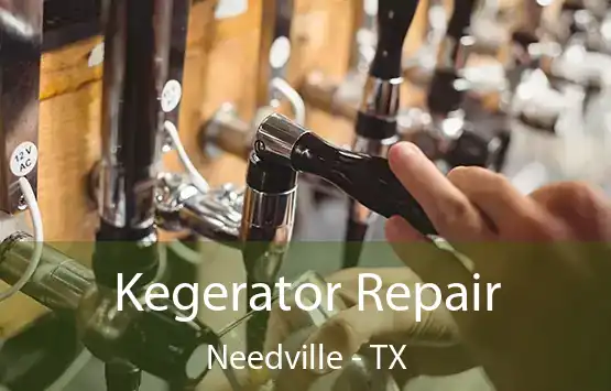  Kegerator Repair Needville - TX