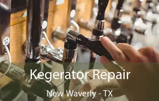  Kegerator Repair New Waverly - TX
