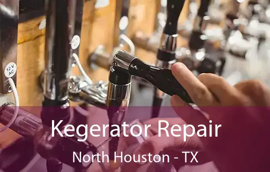  Kegerator Repair North Houston - TX