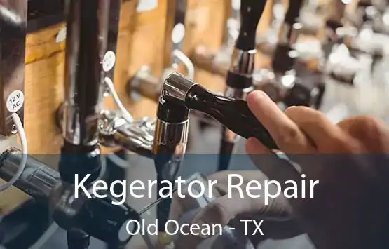 Kegerator Repair Old Ocean - TX