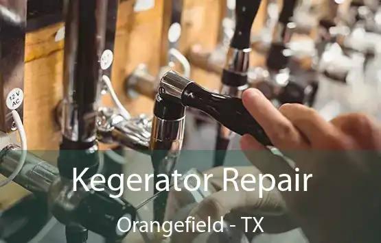  Kegerator Repair Orangefield - TX