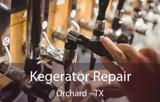  Kegerator Repair Orchard - TX