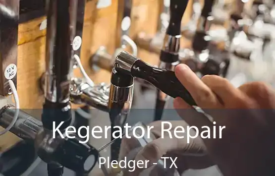  Kegerator Repair Pledger - TX