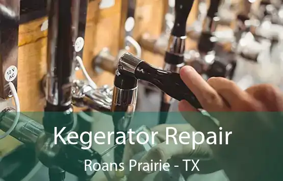 Kegerator Repair Roans Prairie - TX