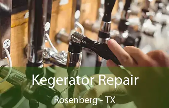  Kegerator Repair Rosenberg - TX