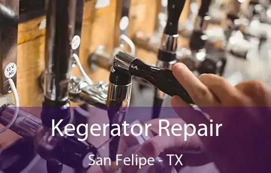  Kegerator Repair San Felipe - TX
