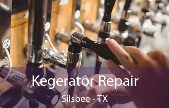  Kegerator Repair Silsbee - TX