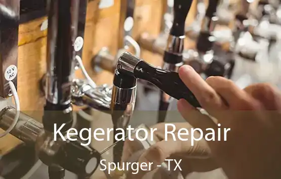  Kegerator Repair Spurger - TX