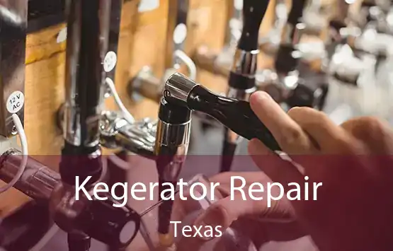  Kegerator Repair Texas