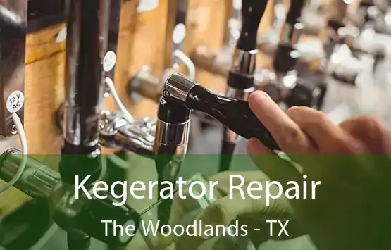  Kegerator Repair The Woodlands - TX