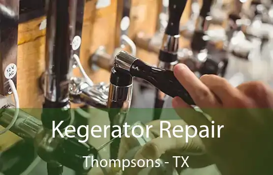  Kegerator Repair Thompsons - TX