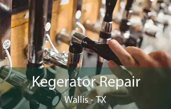  Kegerator Repair Wallis - TX