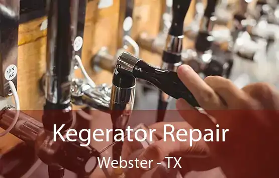  Kegerator Repair Webster - TX