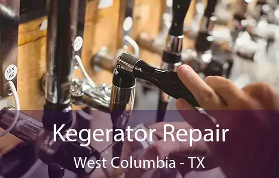  Kegerator Repair West Columbia - TX