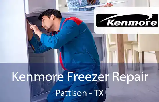  Kenmore Freezer Repair Pattison - TX