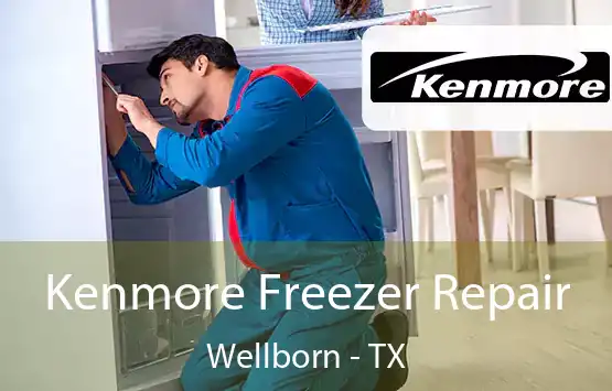  Kenmore Freezer Repair Wellborn - TX