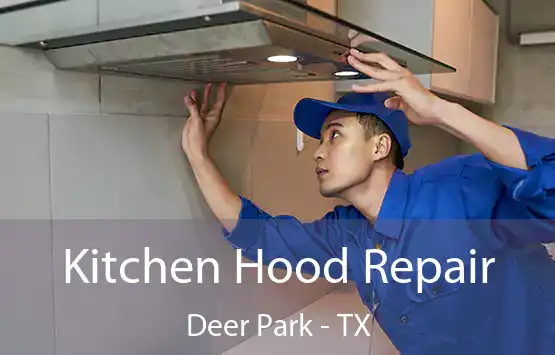  Kitchen Hood Repair Deer Park - TX