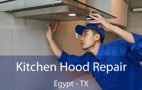  Kitchen Hood Repair Egypt - TX