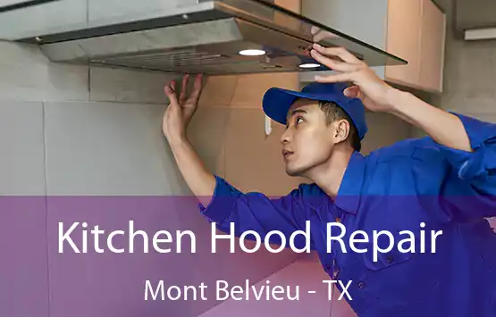  Kitchen Hood Repair Mont Belvieu - TX
