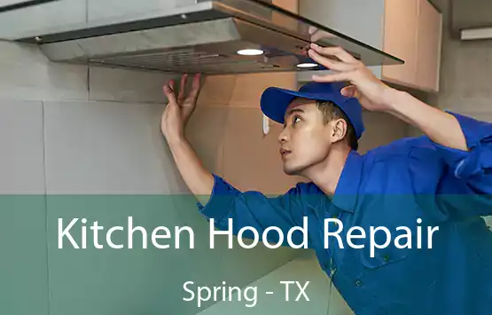  Kitchen Hood Repair Spring - TX