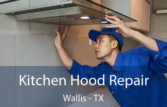  Kitchen Hood Repair Wallis - TX