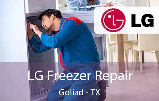  LG Freezer Repair Goliad - TX