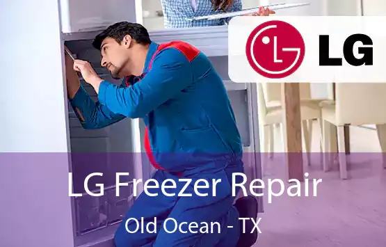  LG Freezer Repair Old Ocean - TX