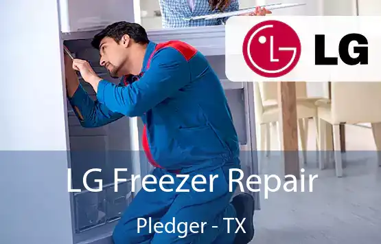  LG Freezer Repair Pledger - TX
