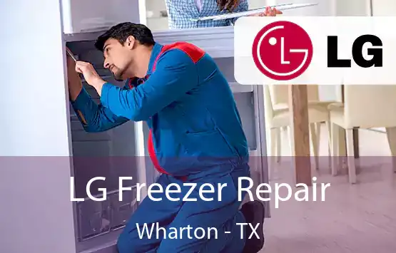  LG Freezer Repair Wharton - TX