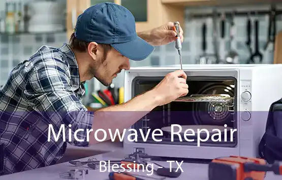  Microwave Repair Blessing - TX