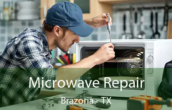  Microwave Repair Brazoria - TX