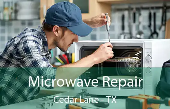  Microwave Repair Cedar Lane - TX