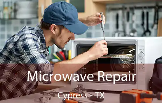  Microwave Repair Cypress - TX